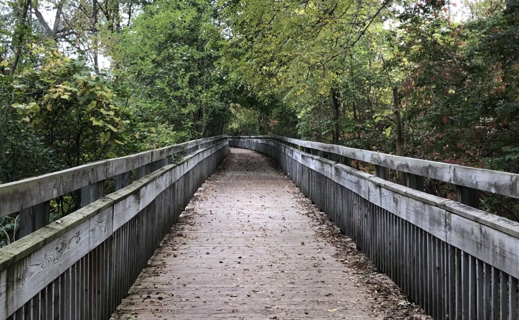 An image of a scenic bridge and hike trail in Argo Park, Ann Arbor