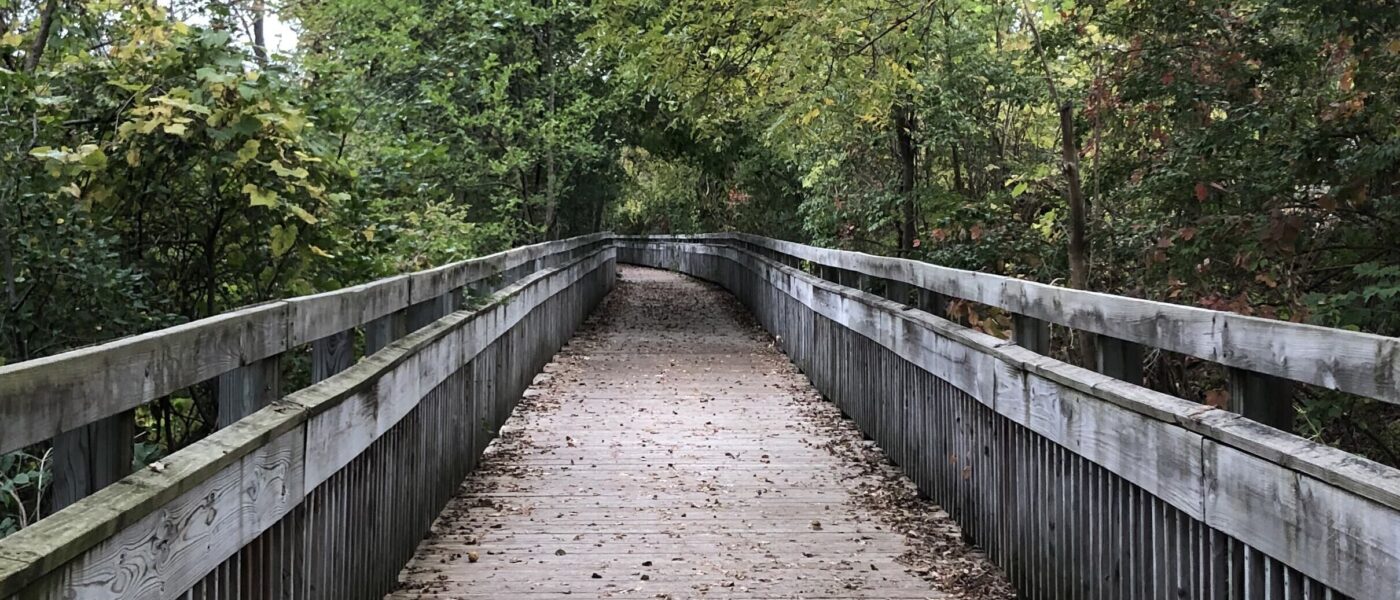 An image of a scenic bridge and hike trail in Argo Park, Ann Arbor