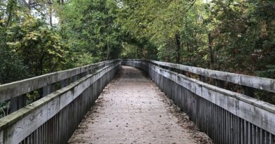An image of a scenic bridge and hike trail in Argo Park, Ann Arbor