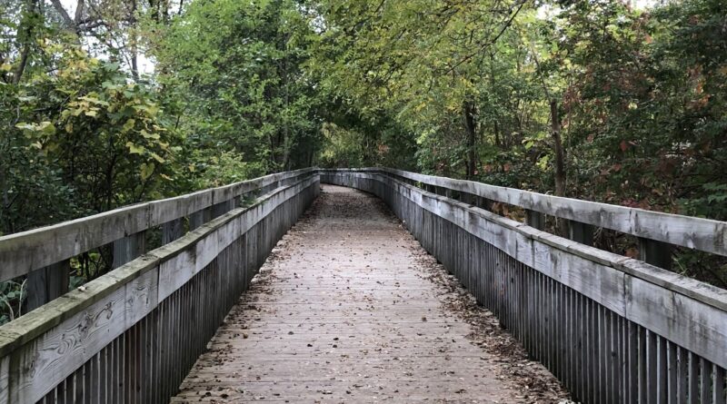 An image of a scenic bridge and hike trail in Argo Park, Ann Arbor