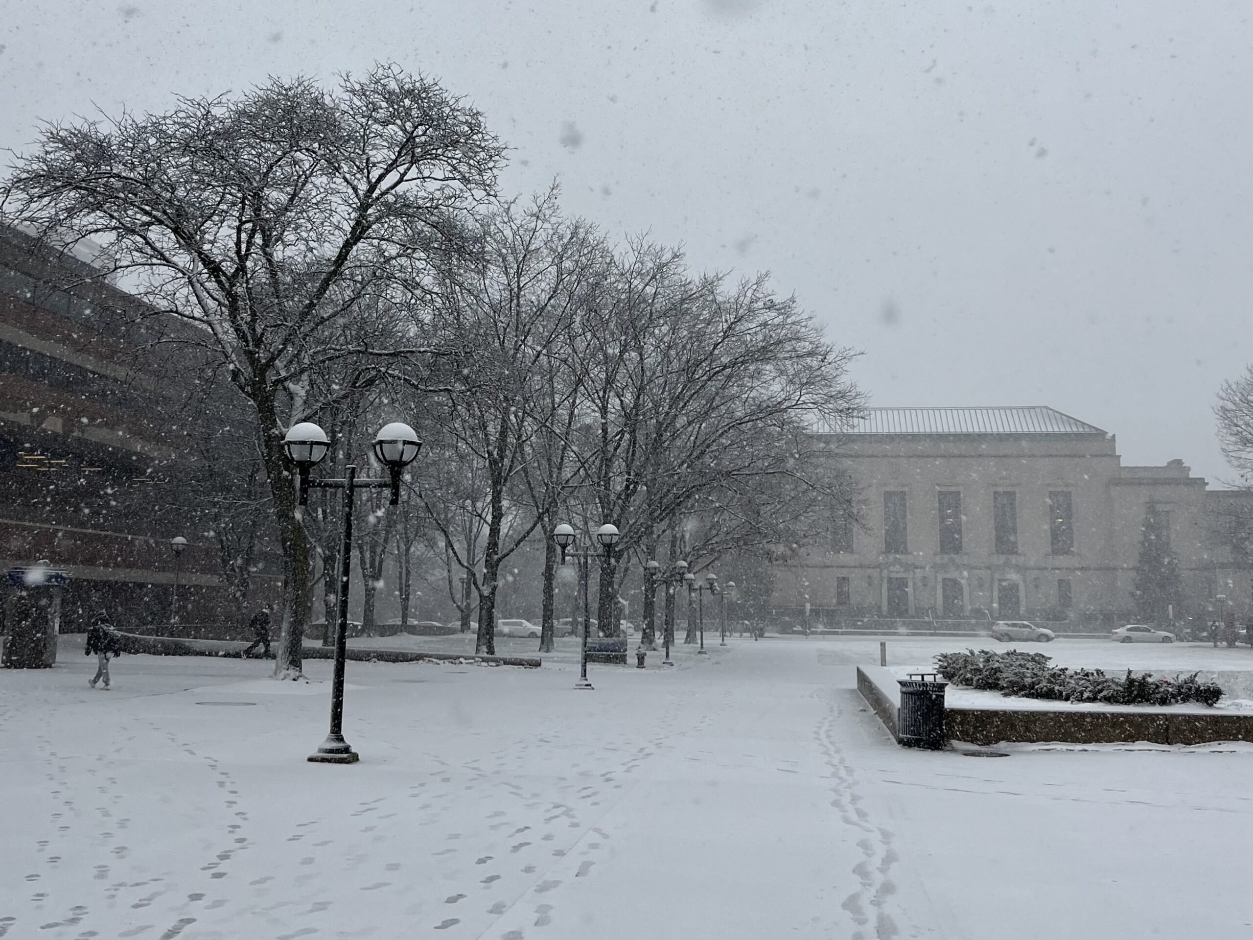 Snow falls over Ingalls Mall on a winter semester afternoon.