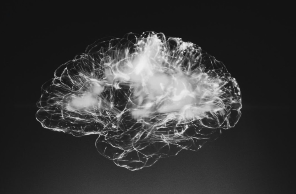 Image description: Outline of the human brain in white on a black background