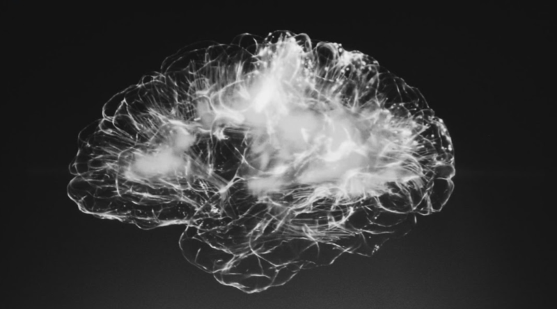 Image description: Outline of the human brain in white on a black background