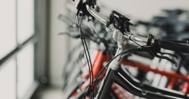 Between the Curb and the Cause