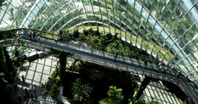 Taught to Transform: Sustainability Education at U-M